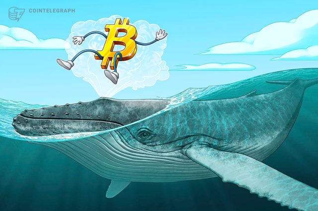 Biggest future BTC whale explains why Bitcoin was chosen for 'decentralized Forex reserve'